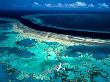 La barriera corallina su Google