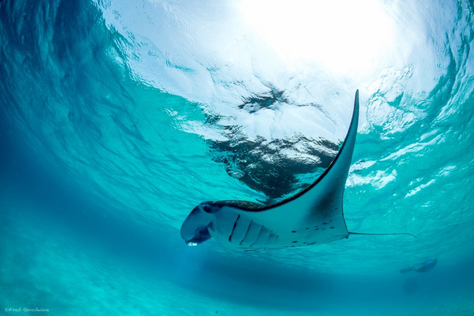 20564c9a1307f8b 20564c9a1307f8b