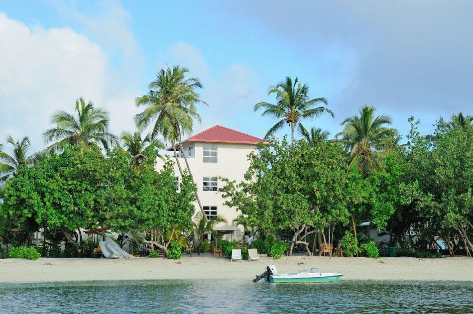 03564c99ec65ca7 03564c99ec65ca7