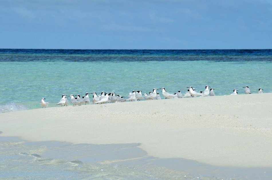 23564c99f9209a7 23564c99f9209a7