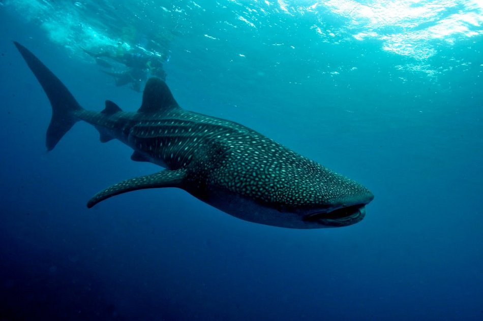 89564c9a0beda55 89564c9a0beda55